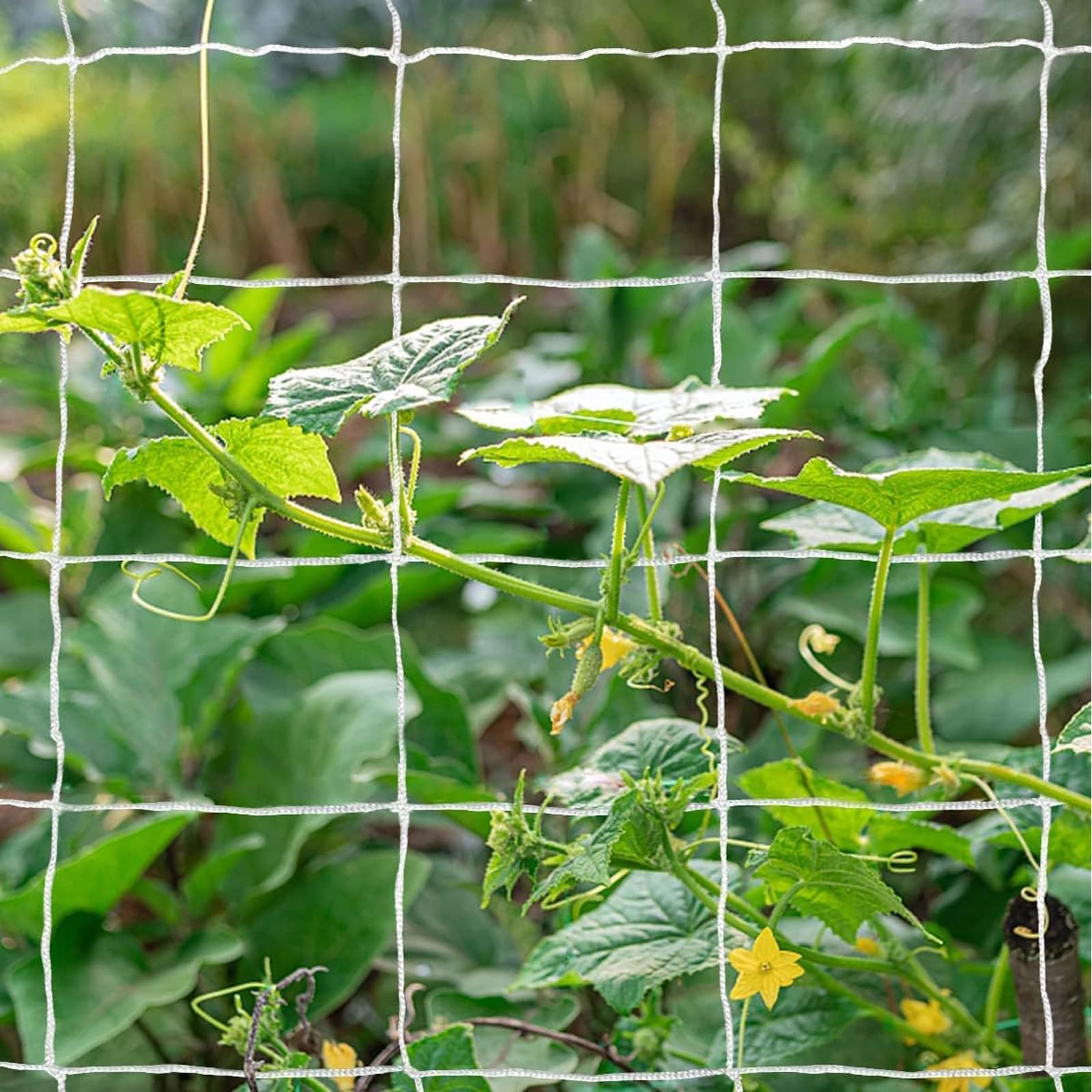 Tcamp Trellis Netting showing soft edges, safe for kids