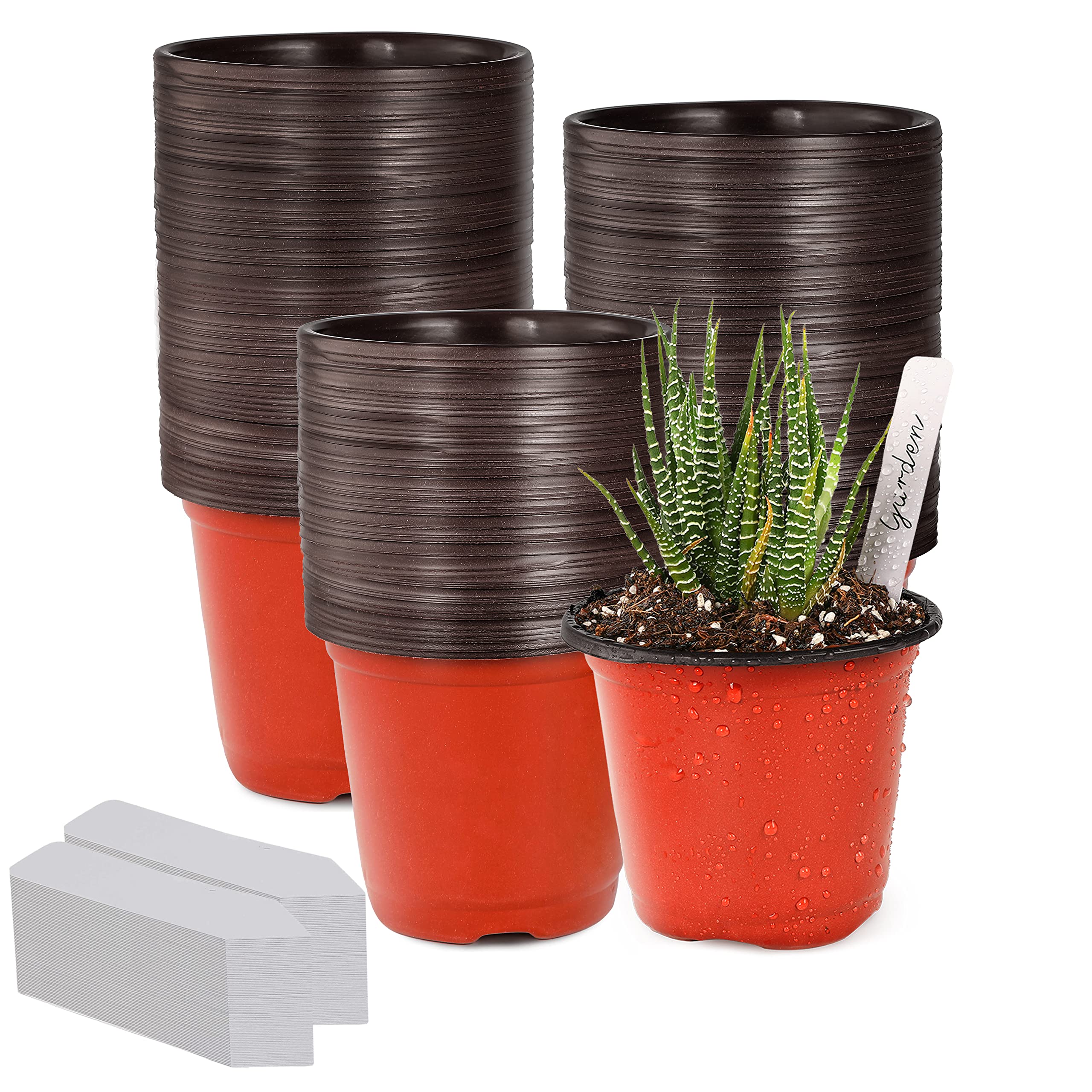 TDHDIKE 4-inch red seed starter pots front view
