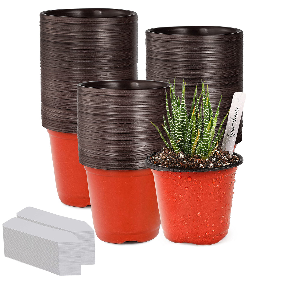 TDHDIKE 4-inch red seed starter pots front view