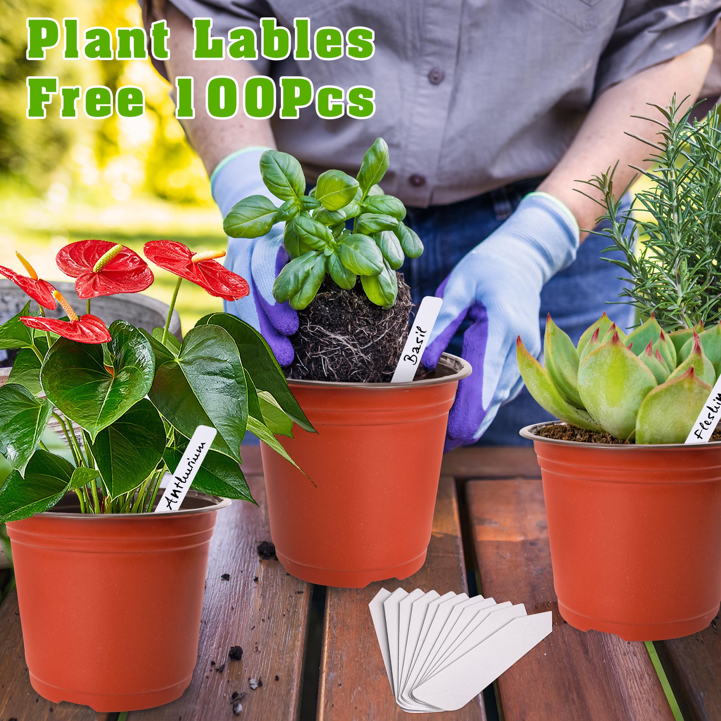 TDHDIKE 6-inch nursery pot dimensions illustration