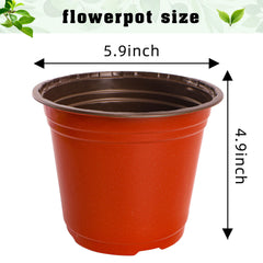 TDHDIKE 6-inch plastic nursery pots with labels