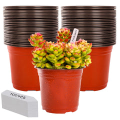 TDHDIKE 6-inch red plastic nursery pot front view