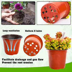 TDHDIKE nursery pot showing drainage holes
