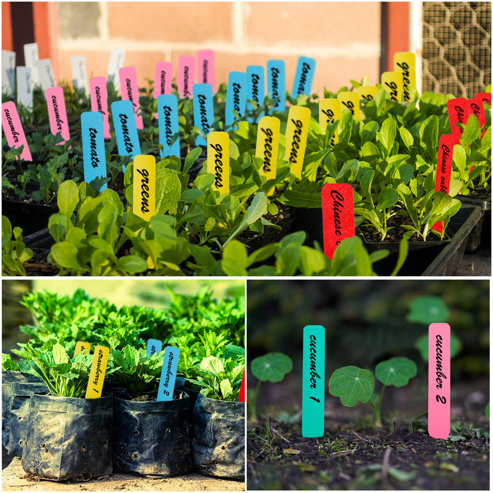 TDHDIKE plant labels in use for vegetable seedlings