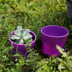 TDHDIKE plastic pots with small plants in a home setting