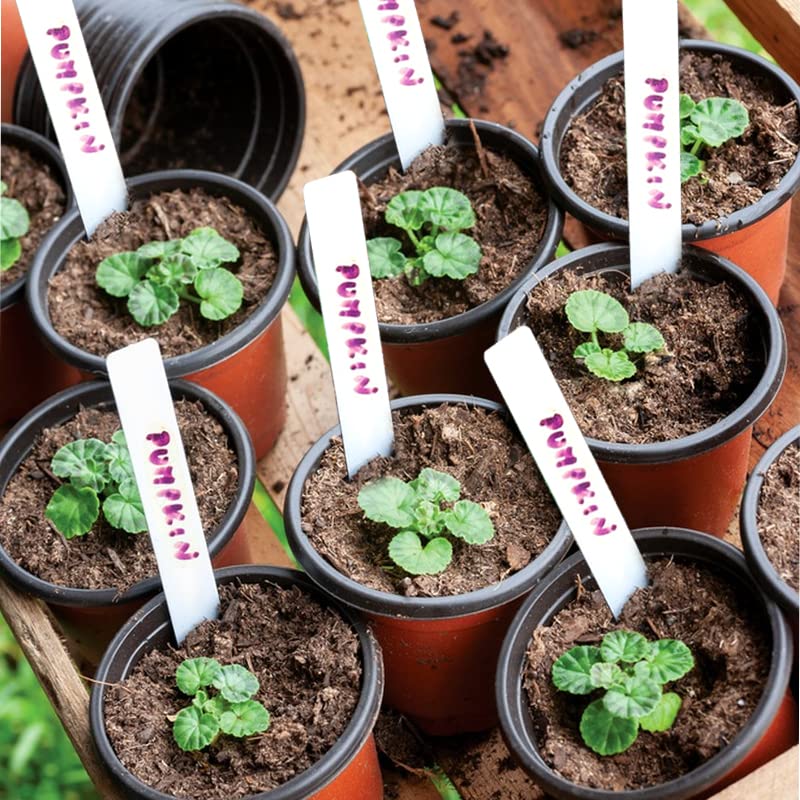 TDHDIKE seed starter pots in outdoor garden setting
