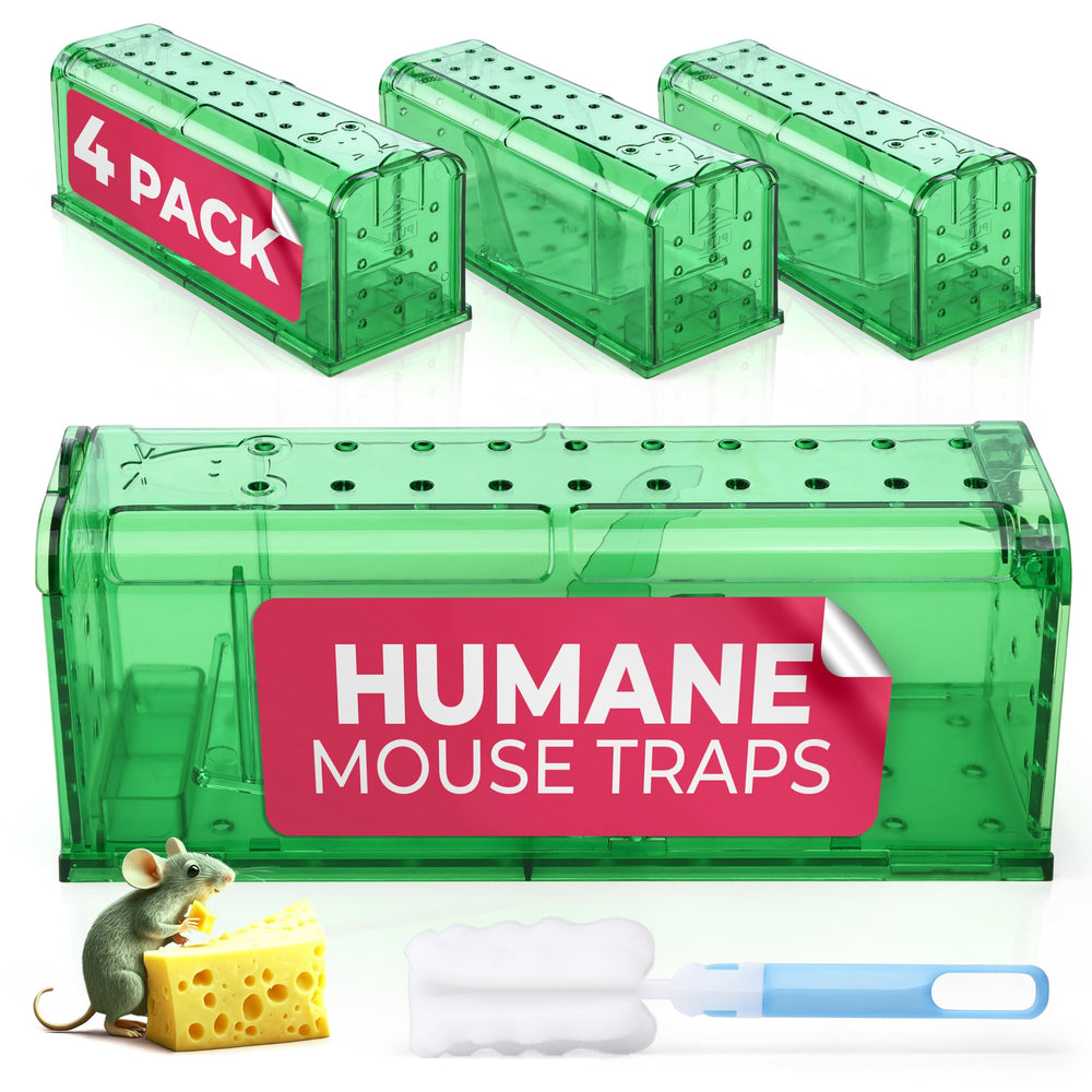 Teal Elite Humane Mouse Trap Pack of 4, green plastic traps