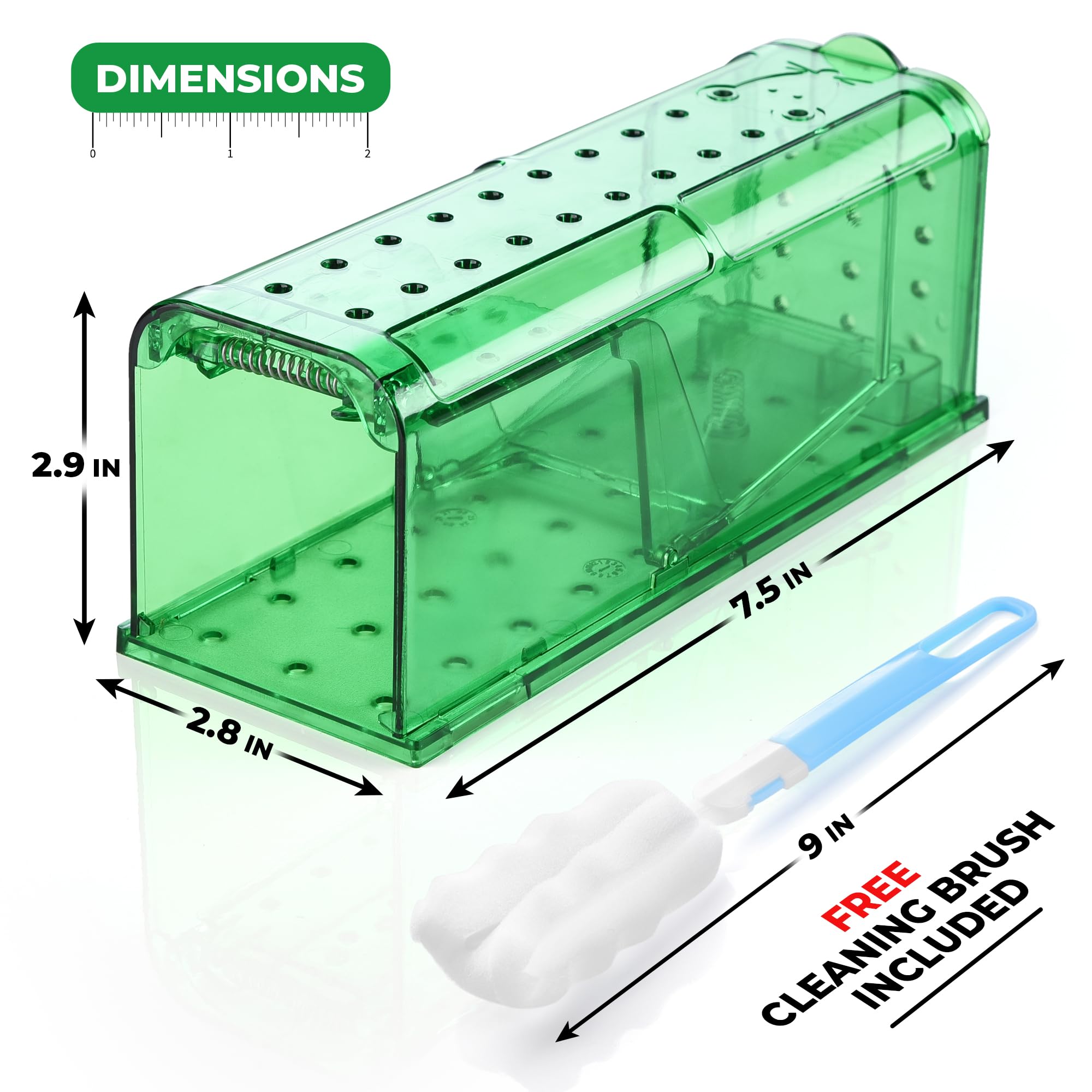 Teal Elite mouse trap showing the bait area and spring door