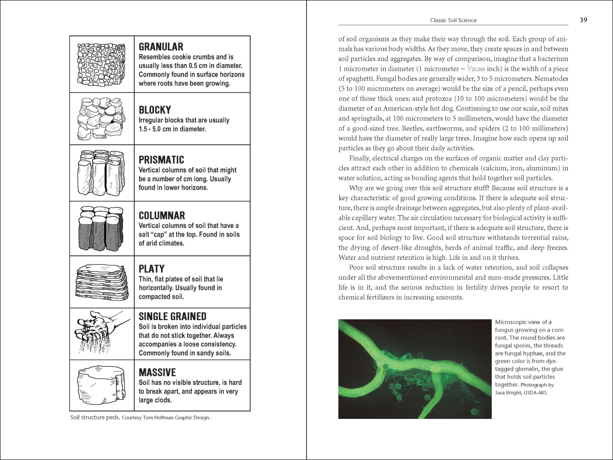 Teaming with Microbes placed on a wooden table in a garden setting
