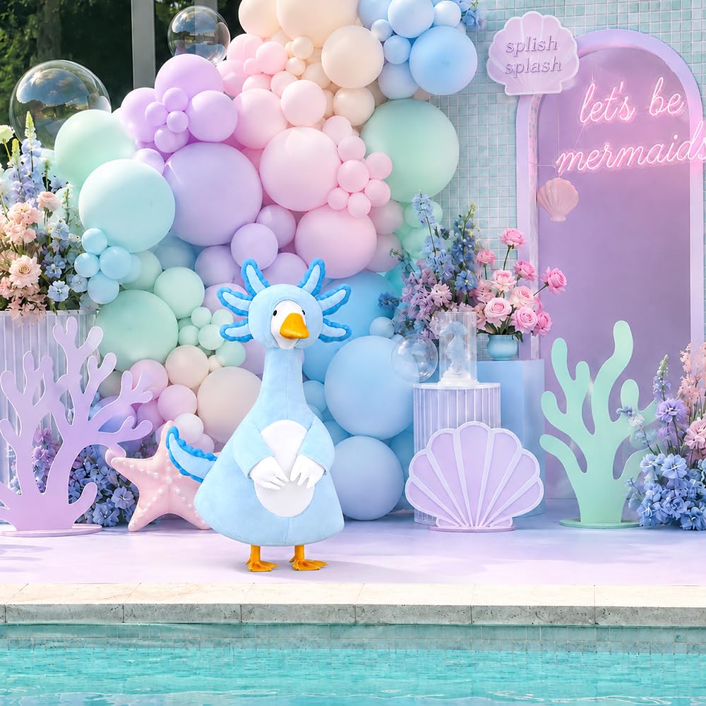 Teeanzo Axolotl goose outfit packaging details