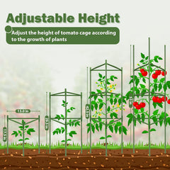 Tegarbed tomato cage assembled in a garden with climbing plants