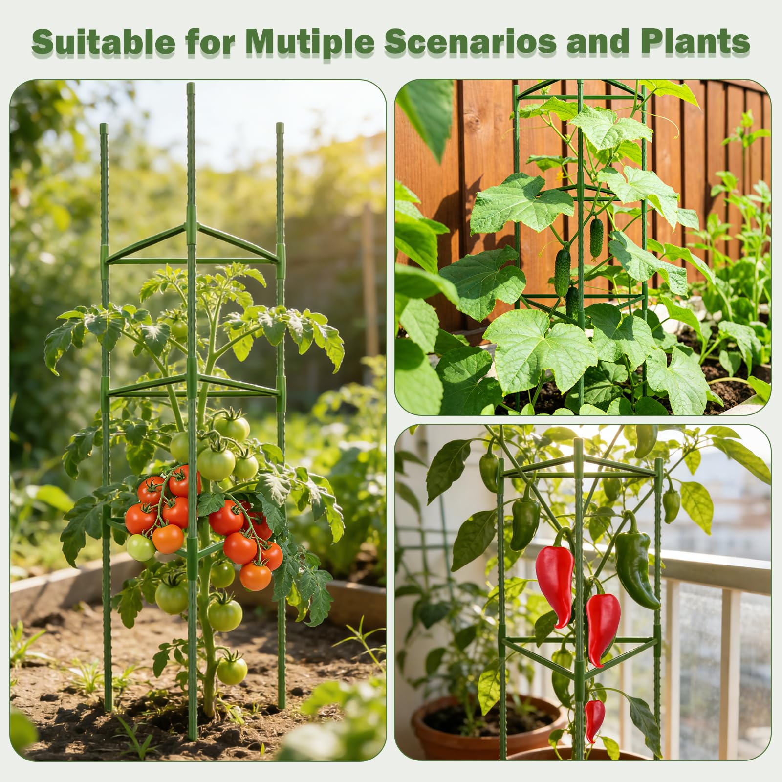 Tegarbed tomato cage in use with cucumbers and tomatoes