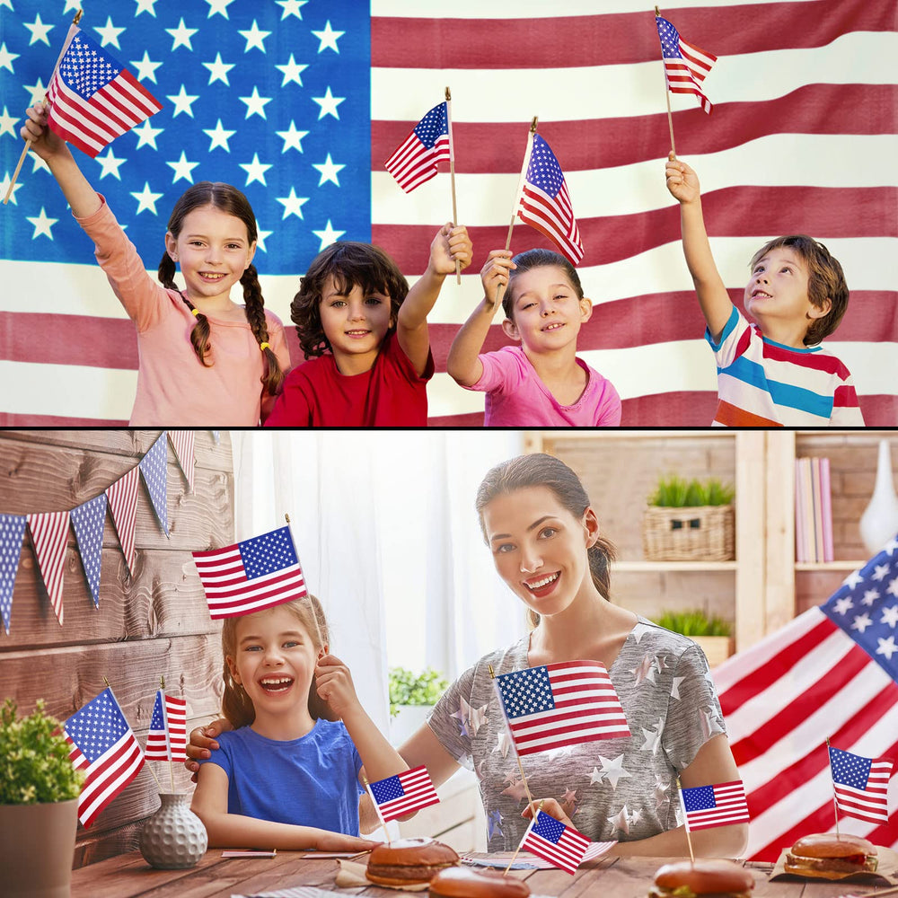 Tegeme American flags in use at a Memorial Day event