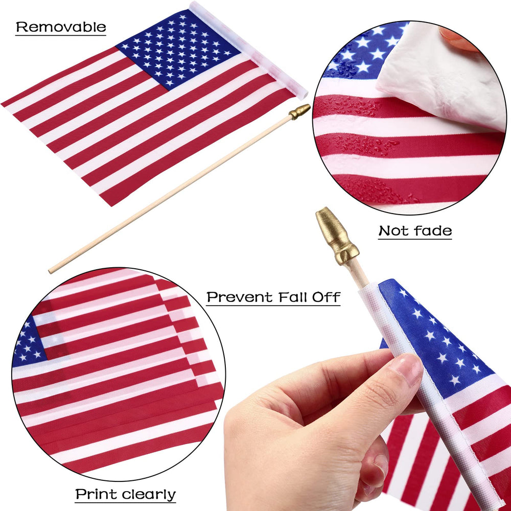 Tegeme mini American flags displayed at a patriotic event