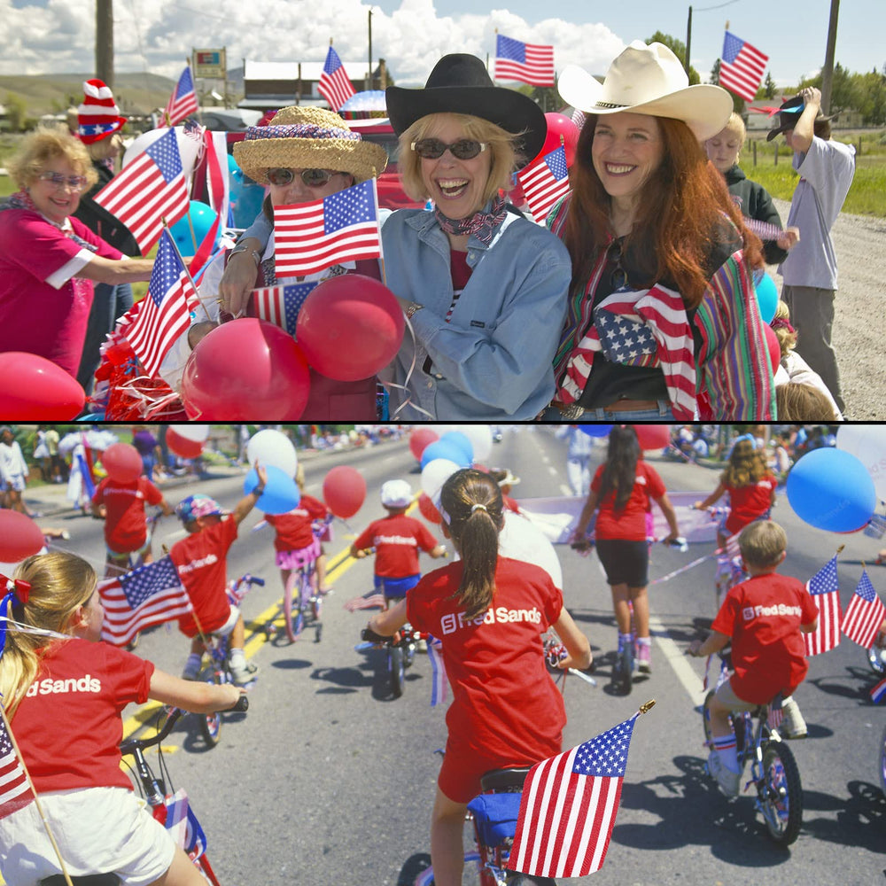 Tegeme mini American flags pack showing quantity