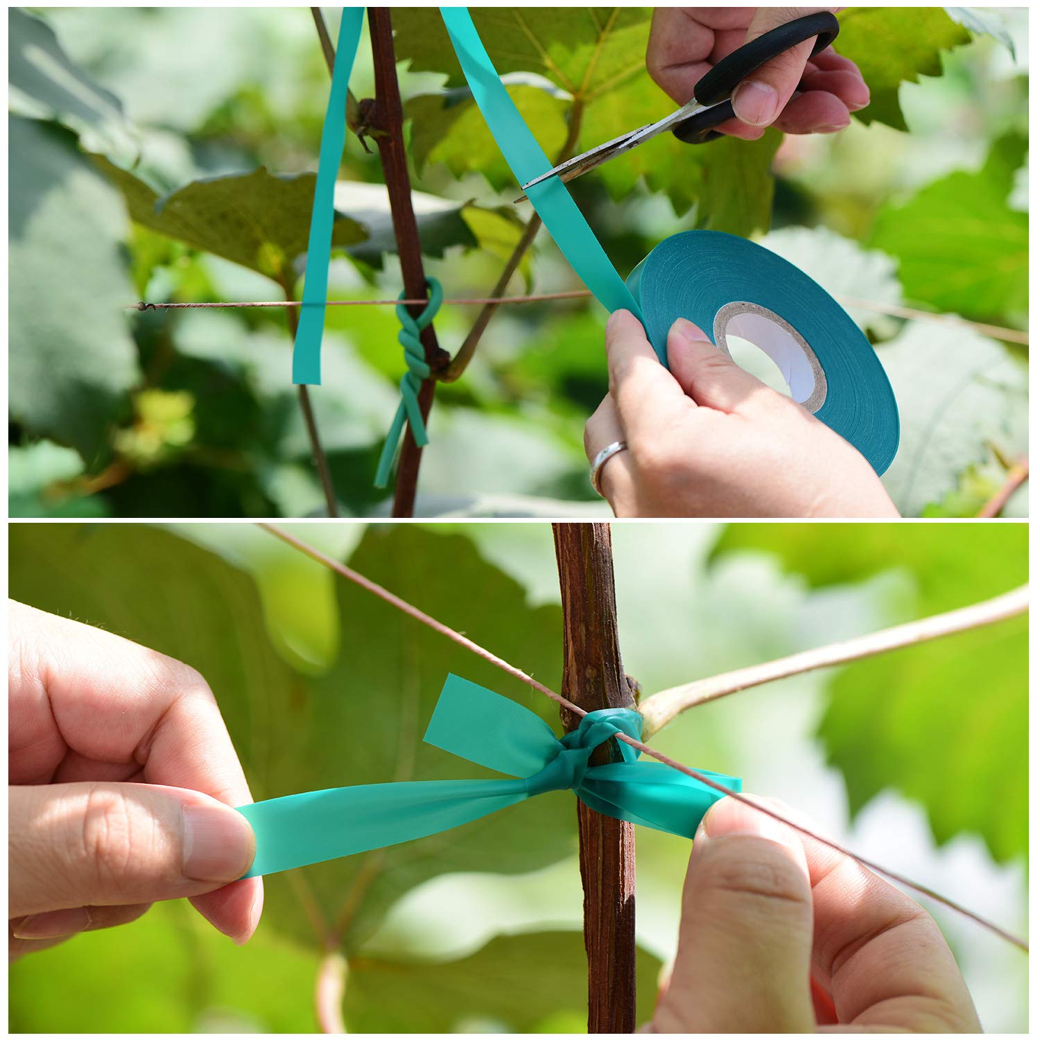 TELENT OUTDOORS Garden Tie Tape in a garden setting supporting young plants