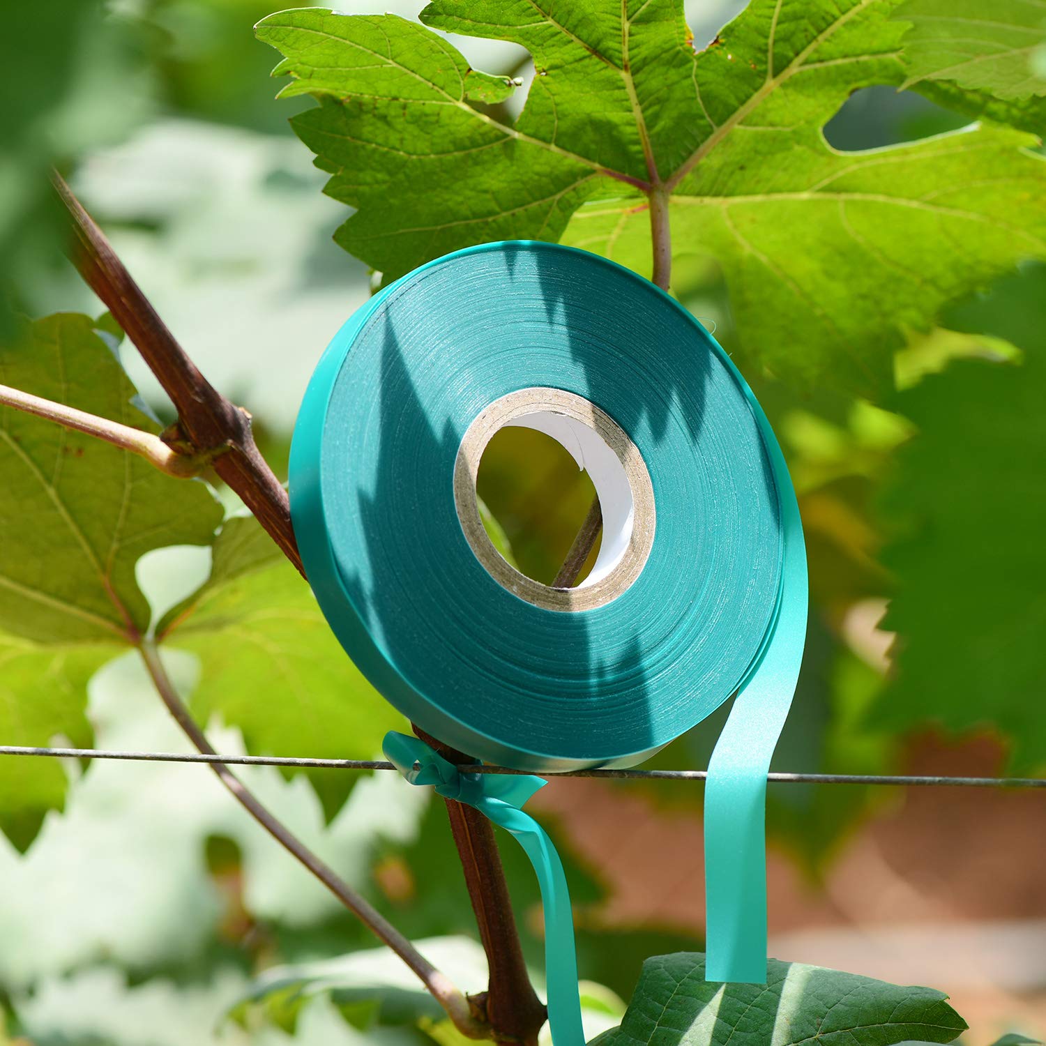 TELENT OUTDOORS Garden Tie Tape showcasing its green colour in a garden