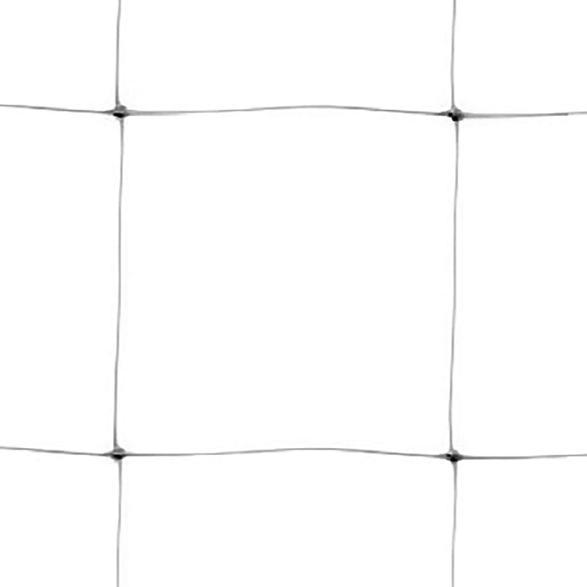TENAX plant trellis net installation in a garden