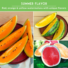 Tendersweet Orange watermelon seeds packet from Tri-Color pack