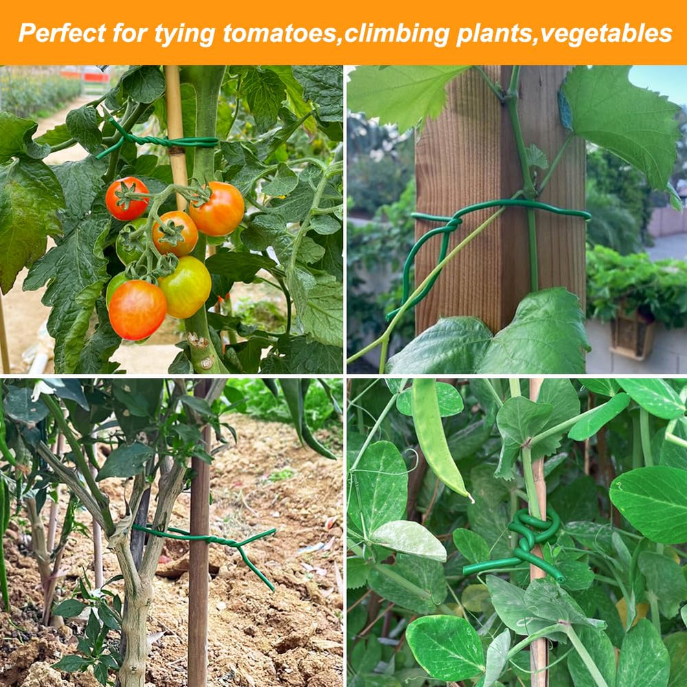 Tenn Well Garden Wire being used on climbing plants