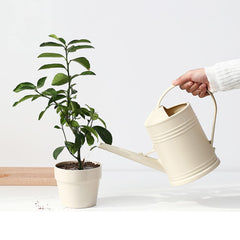 Tennedriv Green Indoor Watering Can wide opening for easy filling