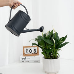 Tennedriv Green plastic watering can in black