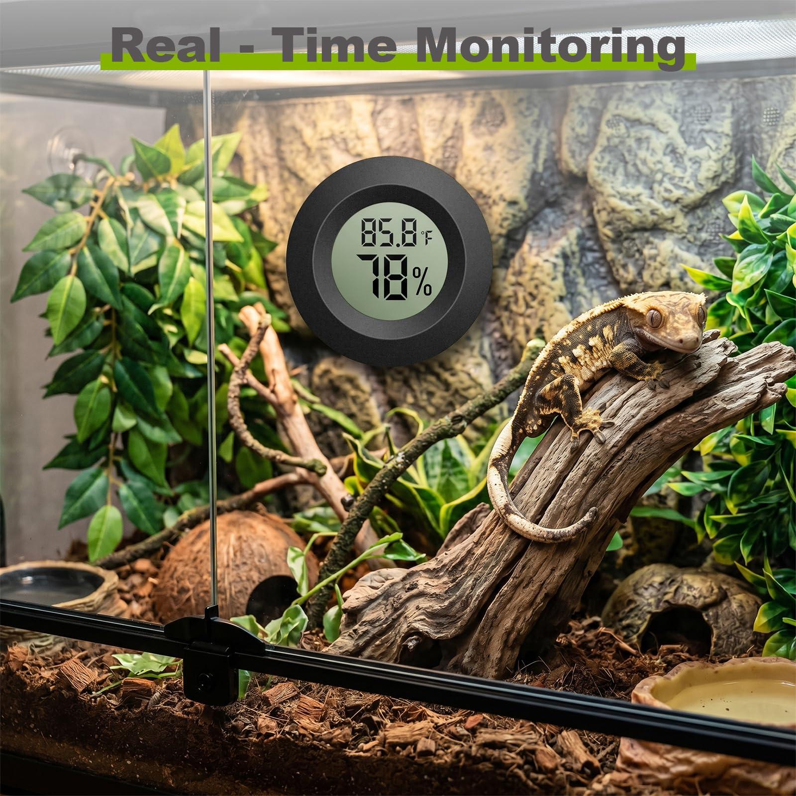 TeqyAqs Mini Hygrometer Thermometer in a reptile tank