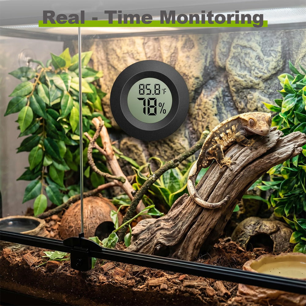 TeqyAqs Mini Hygrometer Thermometer in a reptile tank
