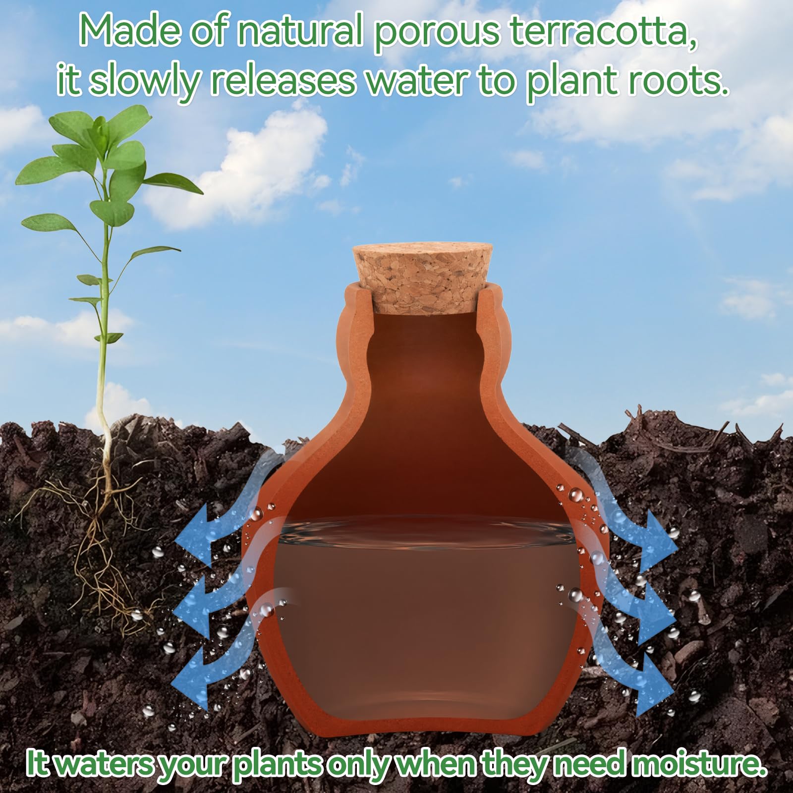 Terracotta olla watering pot showing water level