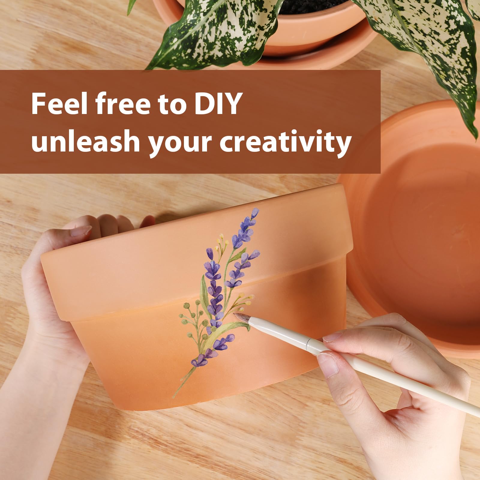 Terracotta pot set displayed with herbs and flowers