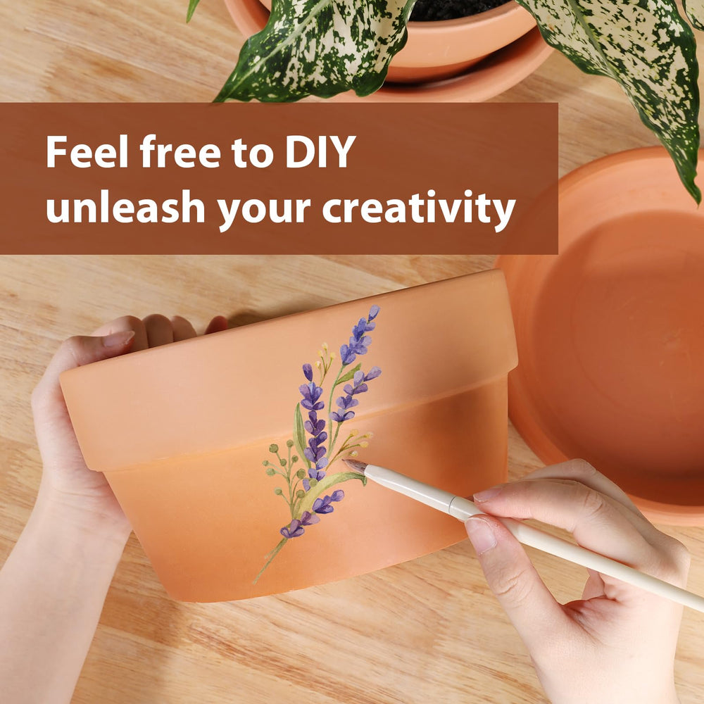 Terracotta pot set displayed with herbs and flowers