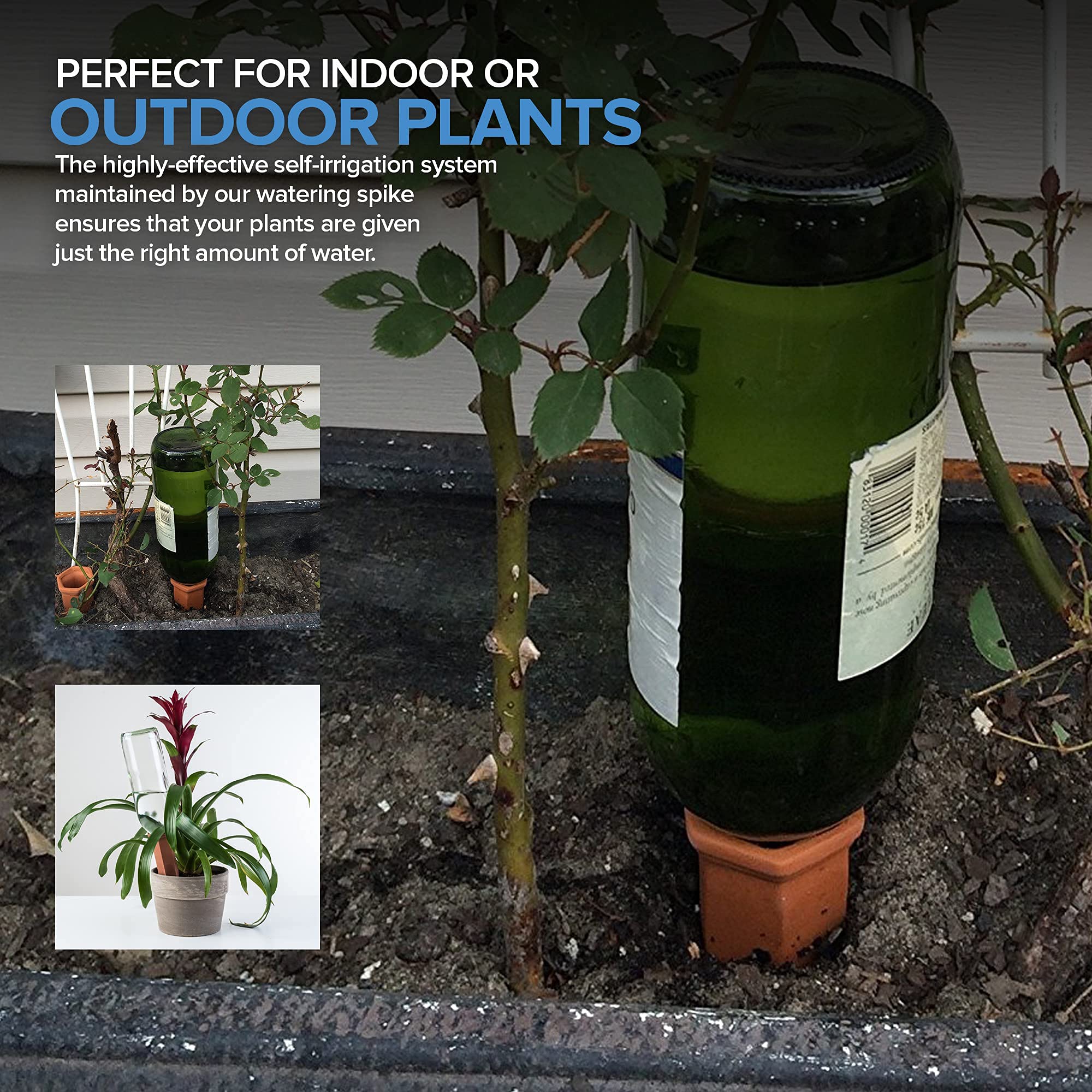 Terracotta self-watering spikes displayed on table