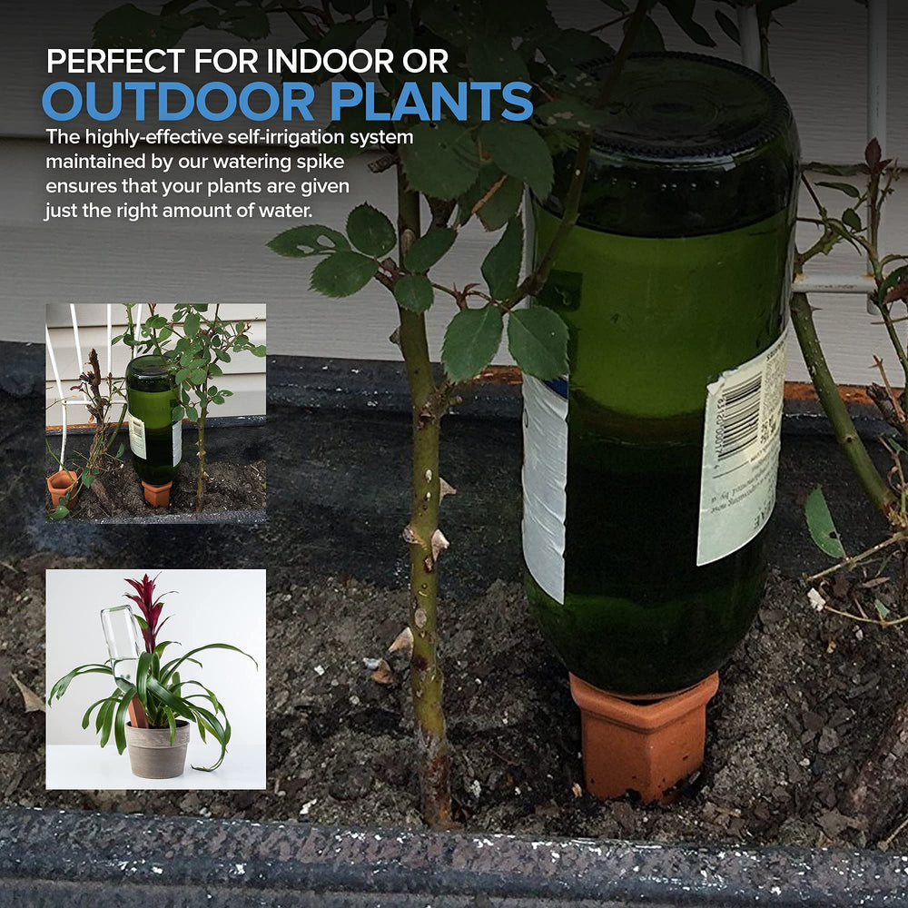 Terracotta self-watering spikes displayed on table