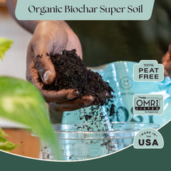 Terracotta watering bulb from Rosy Soil gift set