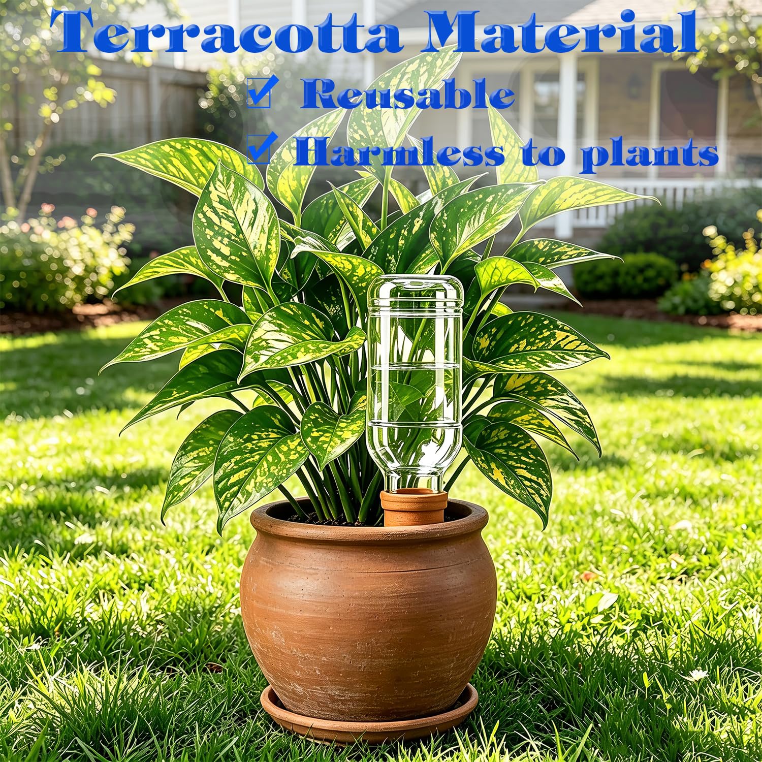 Terracotta watering spike demonstrated in a potted plant