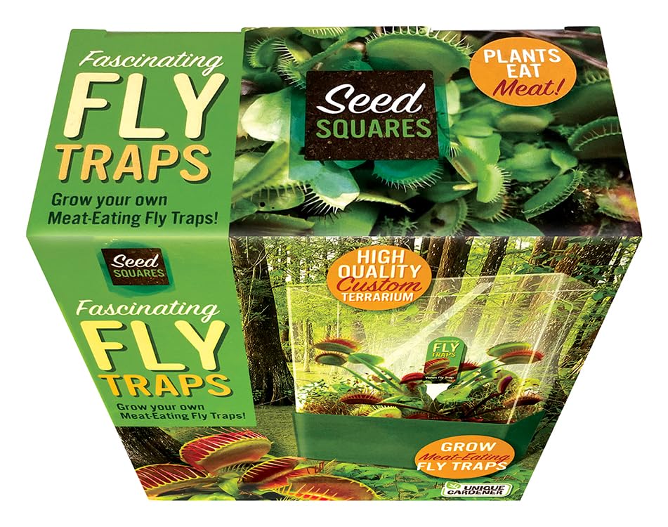 Terrarium setup instructions for Venus Fly Trap