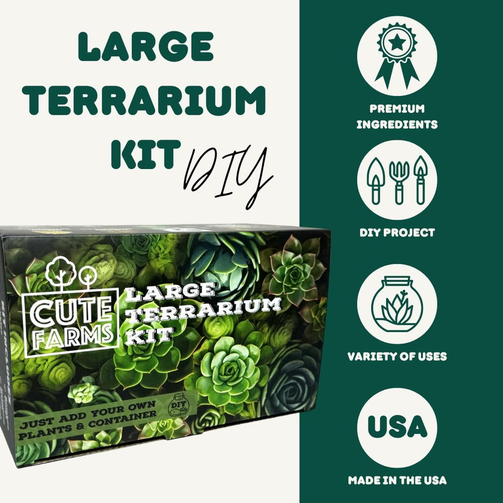 Terrarium starter kit displayed with miniature dinosaur figurines