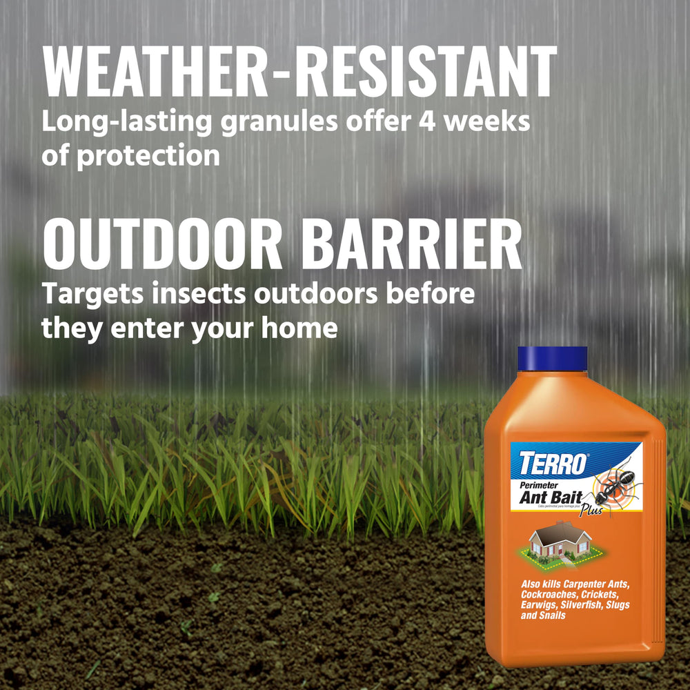 Terro ant bait granules in outdoor application
