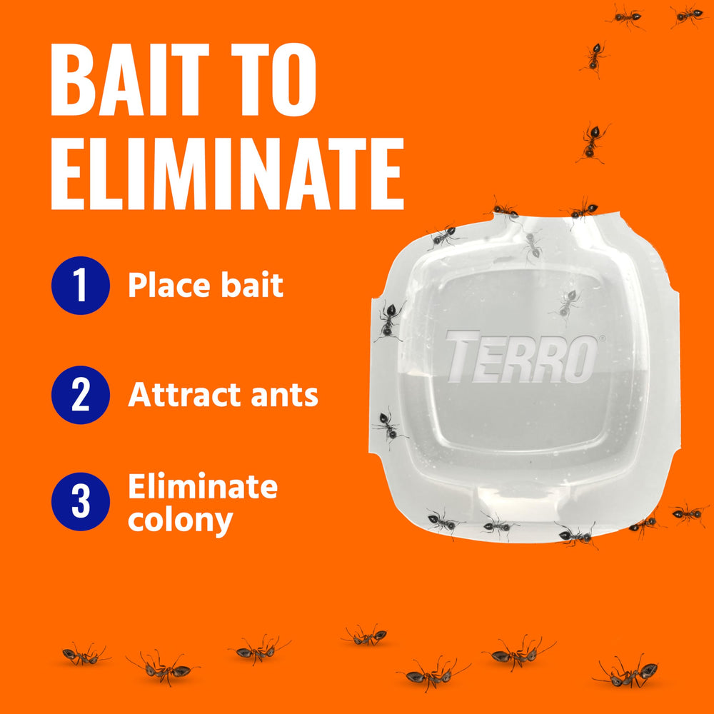 Terro ant baits arranged on a table