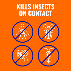 Terro Ant Killer Plus granules for outdoor use