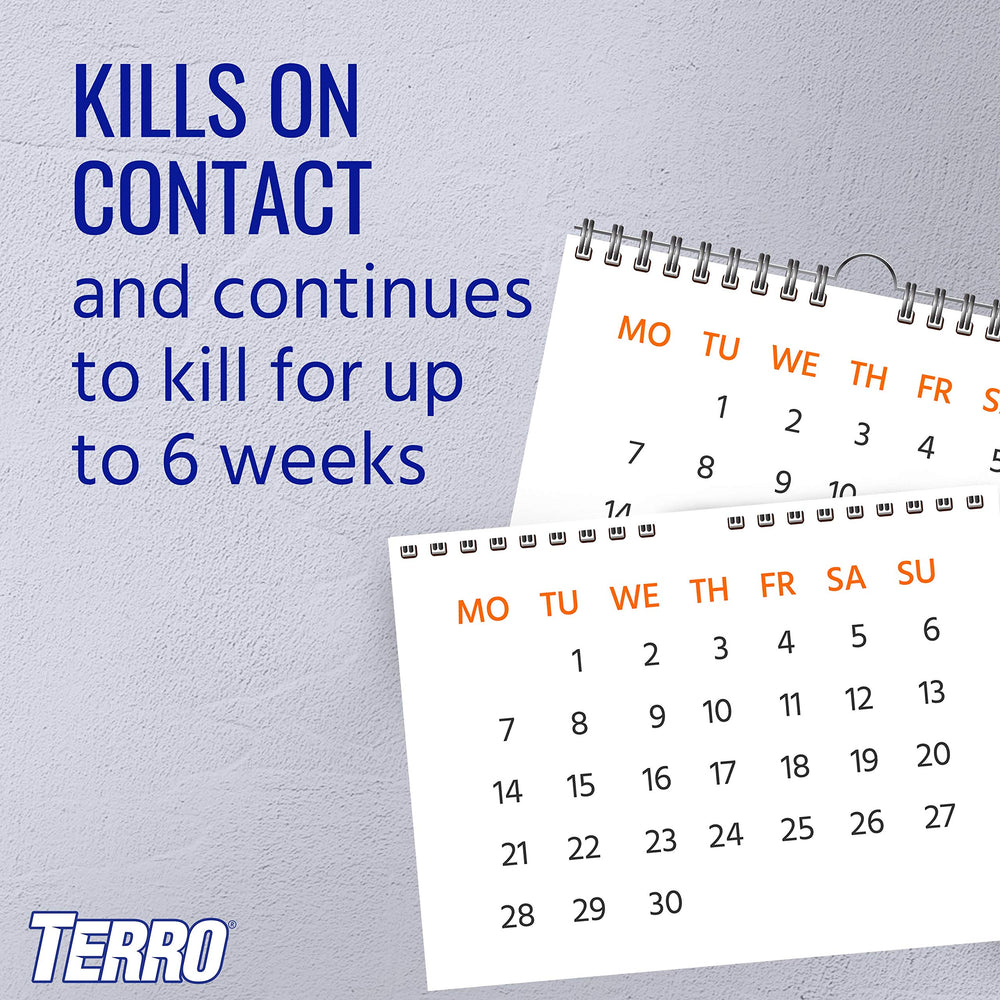 Terro Ant Killer Spray application on outdoor surface