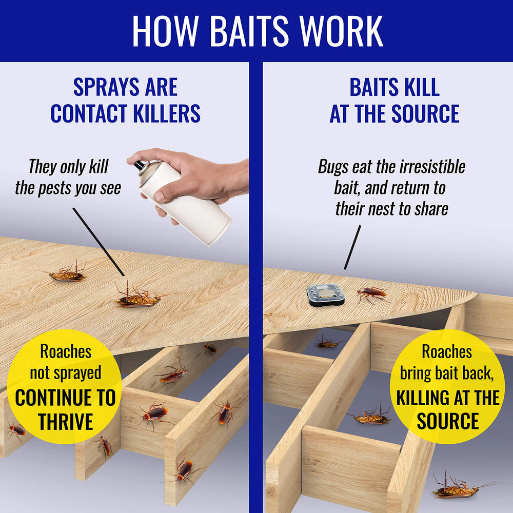 Terro Ant & Roach Bait packaging dimensions on table
