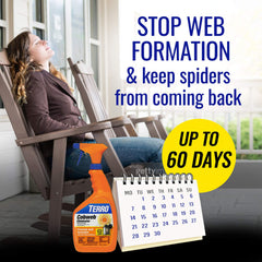 Terro Cobweb Eliminator Spray back view with ingredients