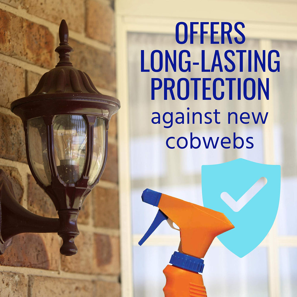Terro Cobweb Eliminator Spray usage demonstration outdoors