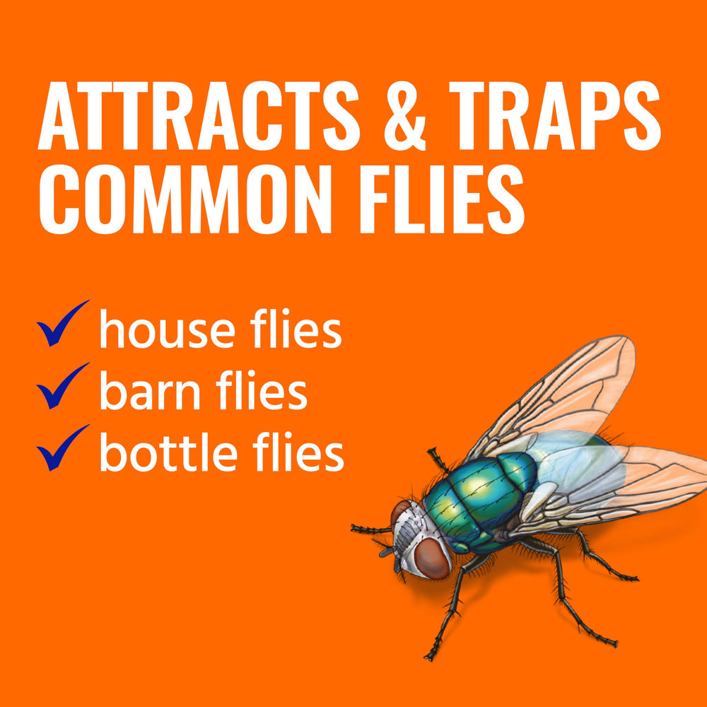 Terro Fly Magnet Trap bait included package