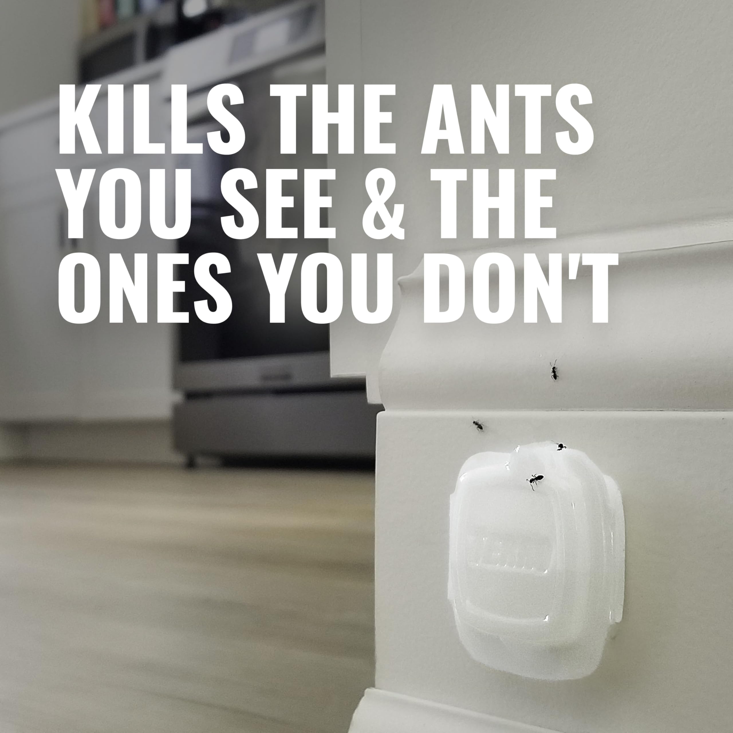 Terro Indoor Liquid Ant Baits in living room setting