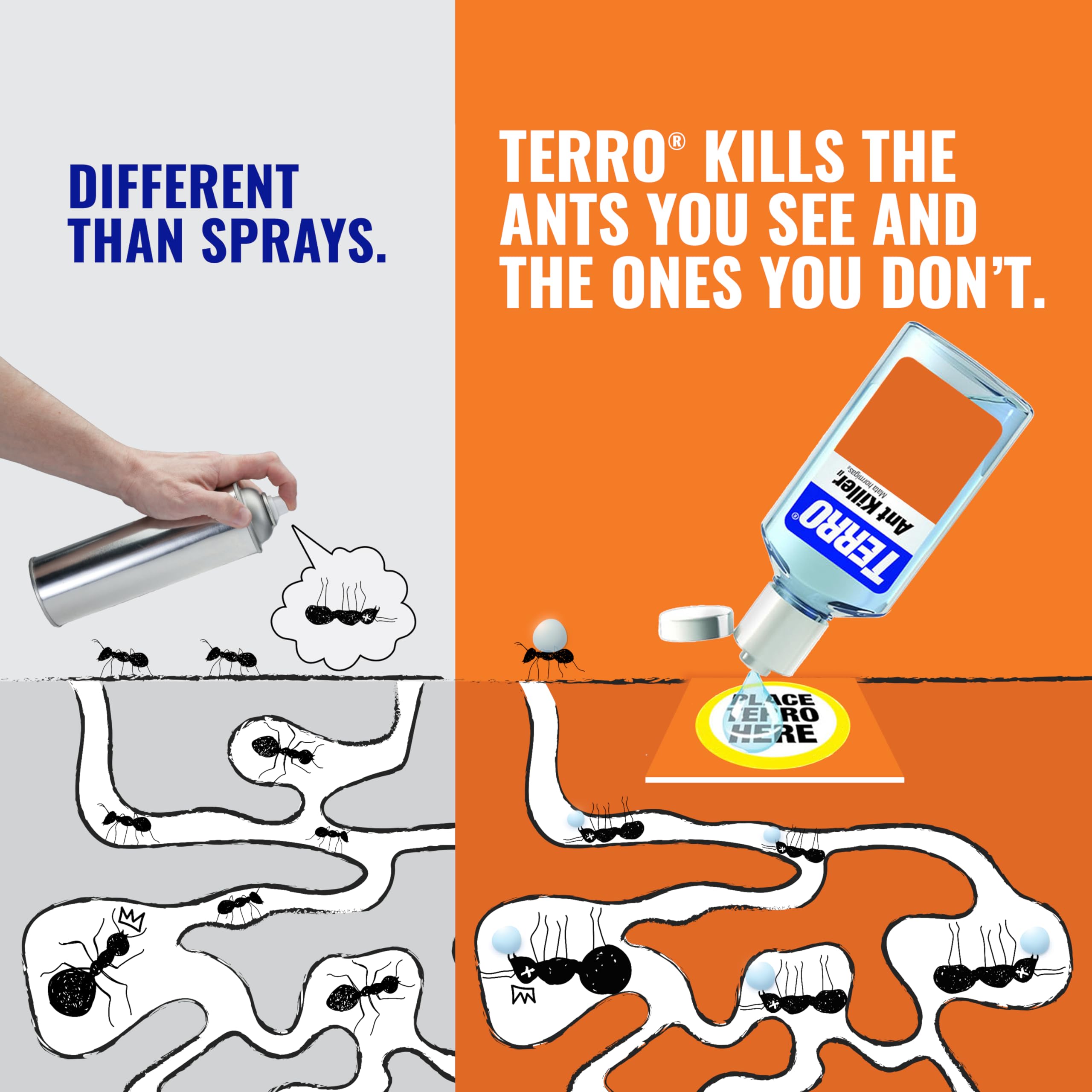 Terro Liquid Ant Killer 2 oz bottle with cardboard tile