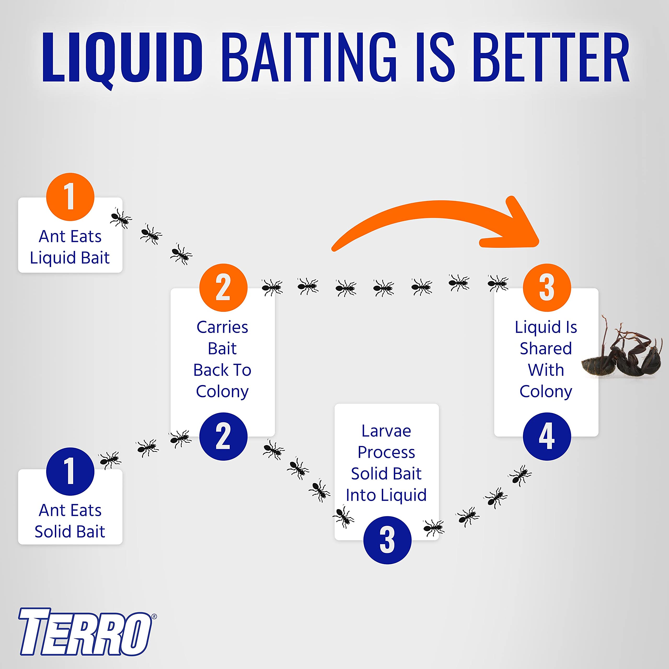 Terro Liquid Ant Killer packaging with contents displayed