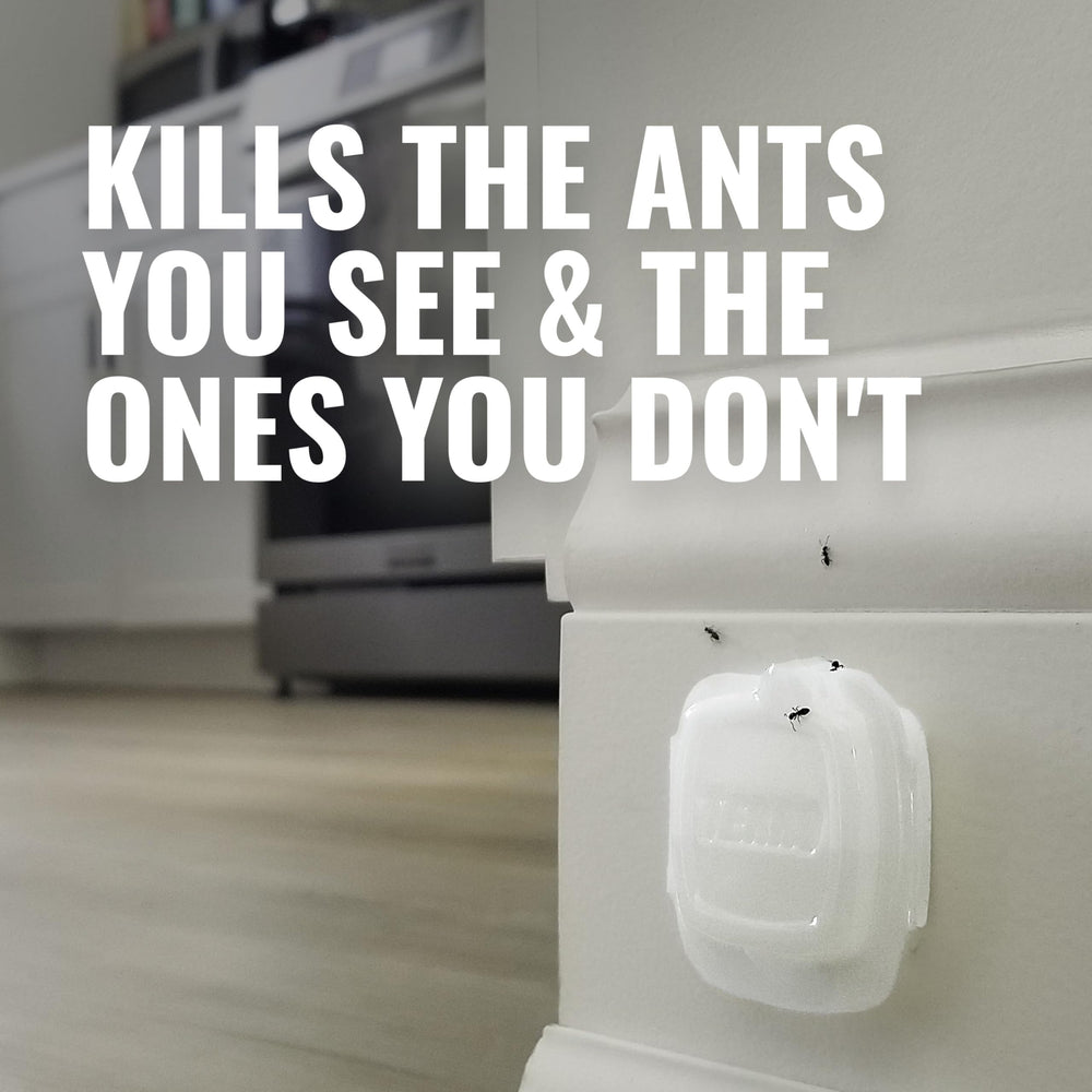 Terro Multi-Surface Liquid Ant Baits placed under a cabinet