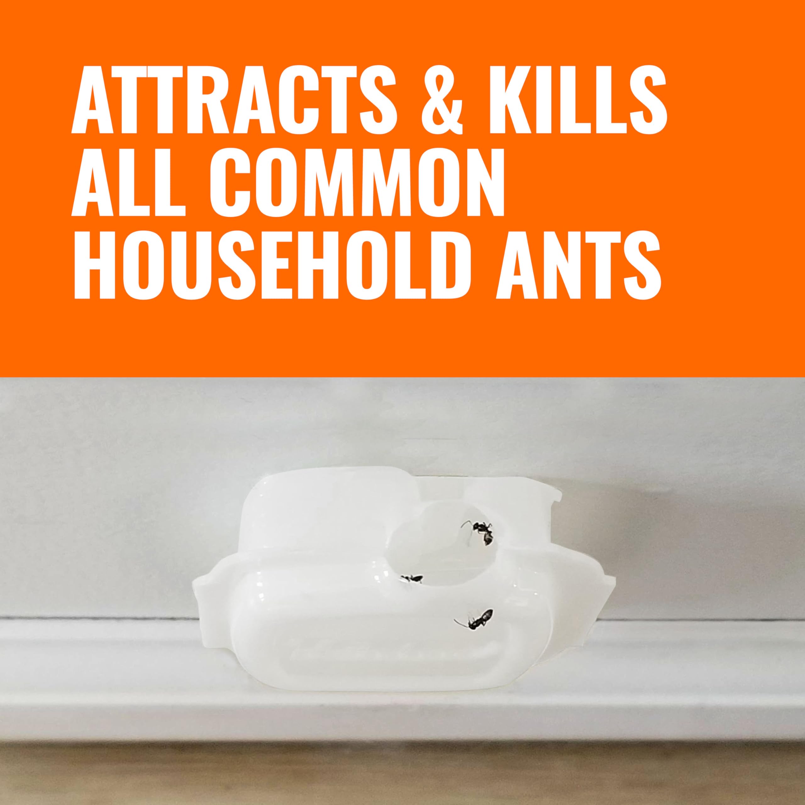Terro Multi-Surface Liquid Ant Baits with dimensions and details